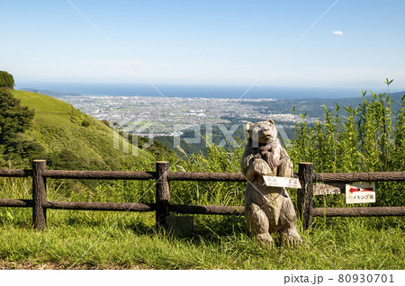 夏の大野山　山頂からの眺望 80930701