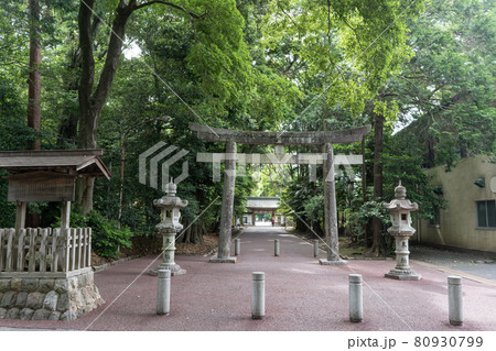 三河一之宮　砥鹿神社 80930799