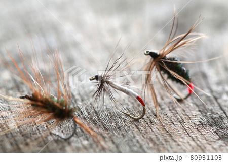 渓流・川釣りに使う毛ばり 渓流・川釣りに使う毛ばり 80931103