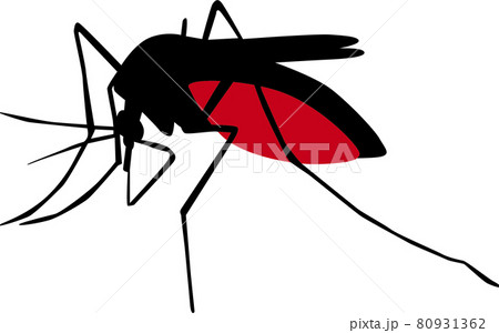 蚊 蚊 80931362