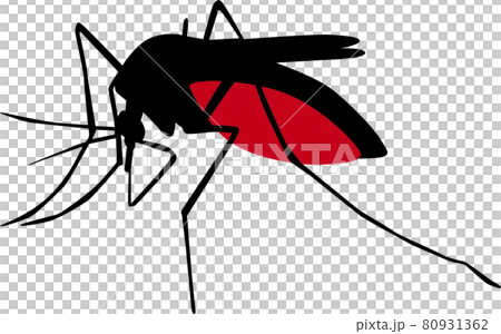 蚊 蚊 80931362