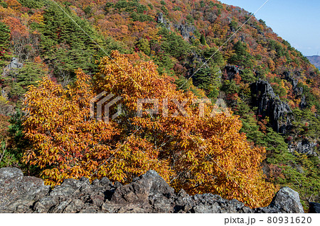 紅葉の霊山<福島県>弁天岩 紅葉の霊山<福島県>弁天岩 80931620