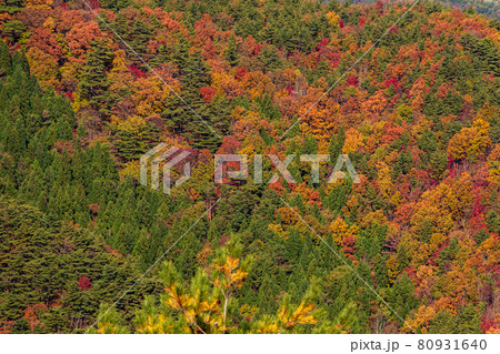 紅葉の霊山＜福島県＞ 80931640