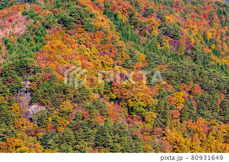 紅葉の霊山＜福島県＞ 80931649