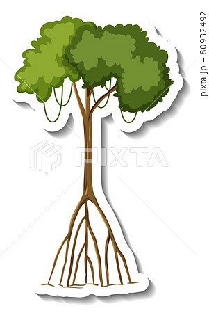 Sticker mangrove tree on white background 80932492