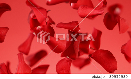 Freeze motion of rose petals flying on red background Freeze motion of rose petals flying on red background 80932989