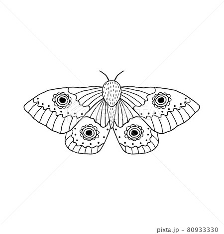 Butterfly in doodle style 80933330