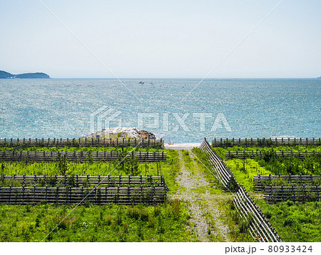 夏の青空と陸前高田の風景 夏の青空と陸前高田の風景 80933424