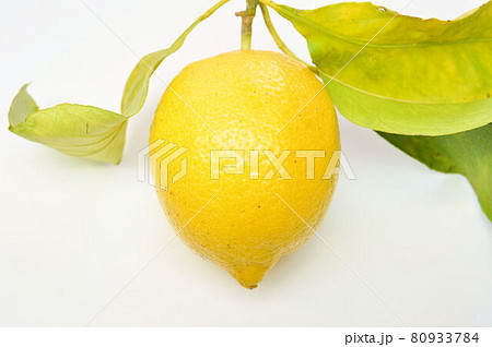 瀬戸田レモン 80933784