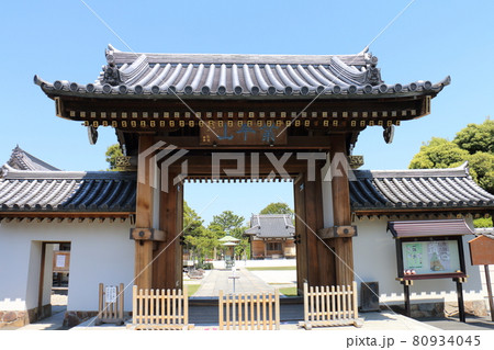 東京都葛飾区 東水元2丁目　業平山 南蔵院のしばられ地蔵　本堂と聖徳の松 80934045