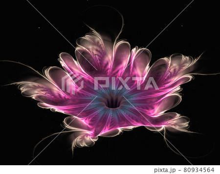 Shine Flower Background - Fractal Art. Abstract computer generated image Shine Flower Background - Fractal Art. Abstract computer generated image 80934564