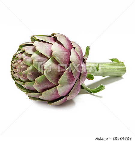 Fresh purple artichoke isolated on white background Fresh purple artichoke isolated on white background 80934738