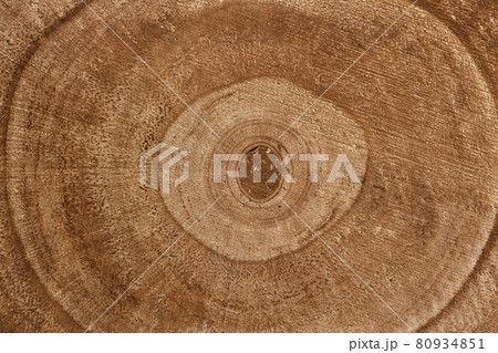 Wooden detailed texture of cut tree trunk cross-section or stump. Brown surface of concentric tree rings. Wooden detailed texture of cut tree trunk cross-section or stump. Brown surface of concentric tree rings. 80934851