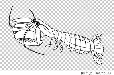 シャコ キャラクター イラスト ぬりえ 80935045