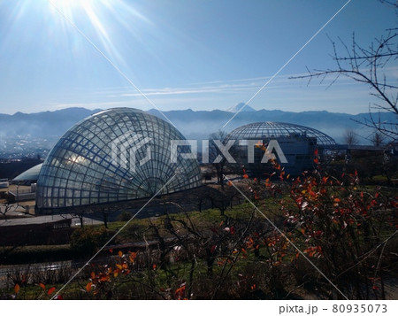 笛吹川フルーツ公園 80935073