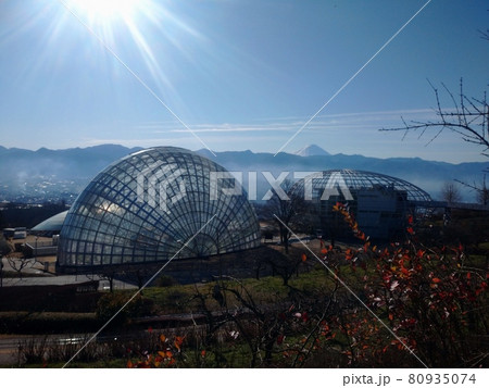 笛吹川フルーツ公園 笛吹川フルーツ公園 80935074