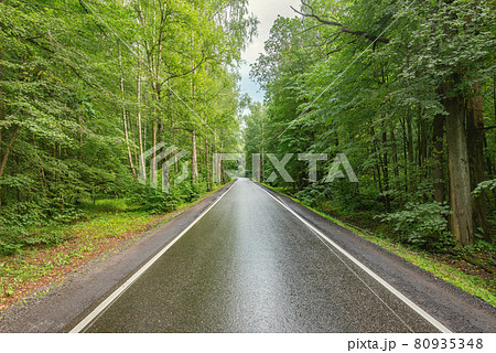 Wet asphalt road in the forest. 80935348