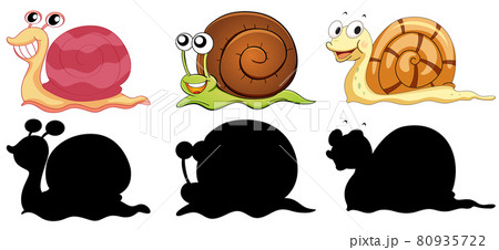 Set Of Different Snails With Its Silhouette On のイラスト素材