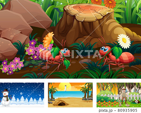 Four different nature horizontal scene 80935905