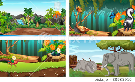Four different nature horizontal scene Four different nature horizontal scene 80935916