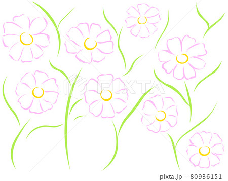 コスモスのイラスト(花のベクターイラスト) コスモスのイラスト(花のベクターイラスト) 80936151
