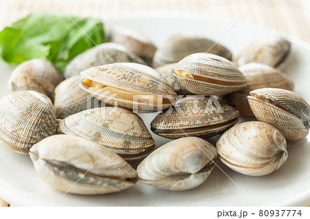 砂ぬきアサリ　生 80937774