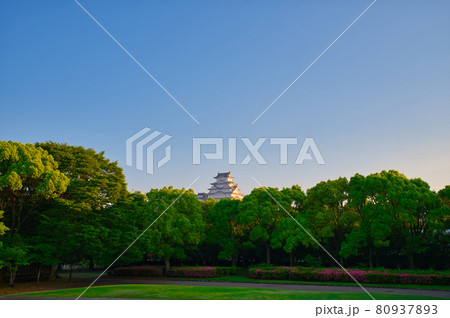 【兵庫県】5月・新緑の姫路城 80937893