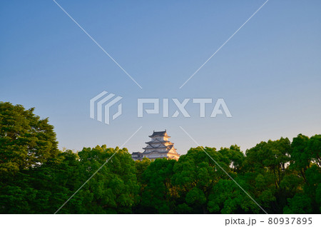 【兵庫県】5月・新緑の姫路城 【兵庫県】5月・新緑の姫路城 80937895