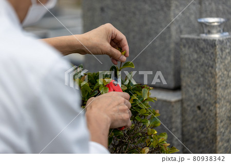 お墓参りの時に植木の手入れをしているところ 80938342