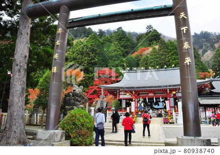 伊勢原市　大山阿夫利神社（下社）の鳥居と拝殿と参拝者と鮮やかな紅葉 80938740
