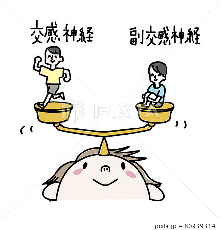 交感神経と副交感神経のバランス 交感神経と副交感神経のバランス 80939314