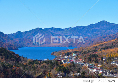 秋　中禅寺湖　湖畔 80939629