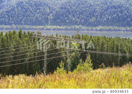 Electric transmission lines along the river in the middle of a dense forest. 80939635