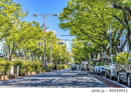 東京渋谷の都市風景　表参道の横断歩道 80939641
