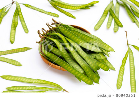 Young fruit of Leucaena leucocepphala on white background. 80940251
