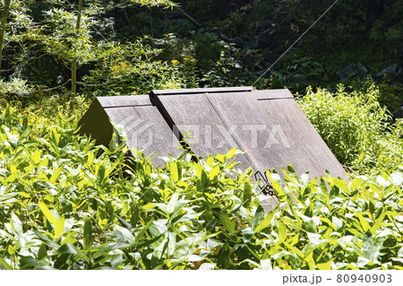 上高地　梓川左岸コース　清水川周辺　取水ポイント 80940903