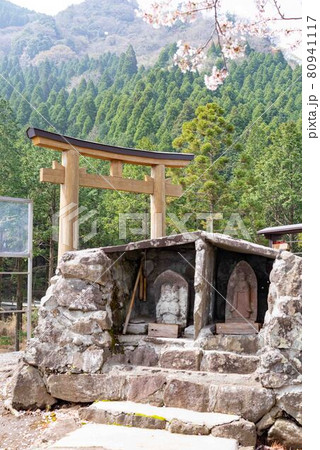 春の南阿蘇　鳥の小塚公園 80941117