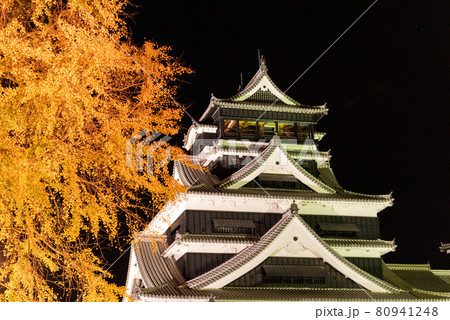 秋の熊本城特別夜間開園 秋の熊本城特別夜間開園 80941248