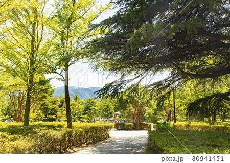 あがたの森公園 80941451