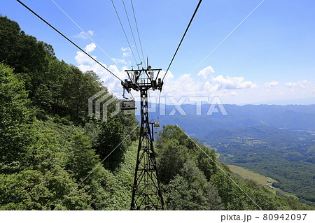 栂池自然園 満開のワタスゲ 栂池自然園 満開のワタスゲ 80942097