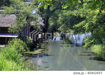 大王わさび農場 80942607