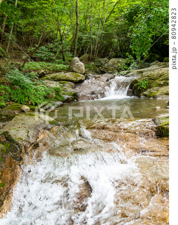 清々しい夏の渓流の景色　清らかな山梨県日川水系 80942823
