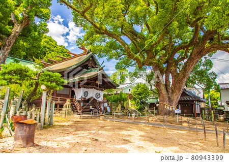 広島県尾道市・艮神社 広島県尾道市・艮神社 80943399