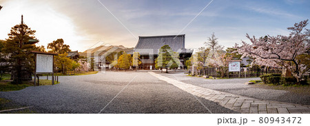 清凉寺の春、本堂釈迦堂へと続く石畳の参道に満開の桜 80943472