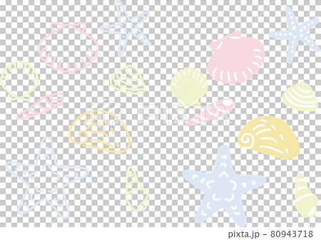 Illustration of pastel colored seashells Illustration of pastel colored seashells 80943718