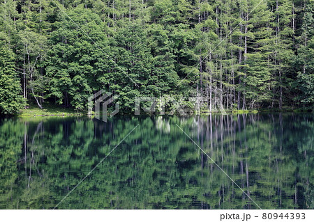 御射鹿池 80944393