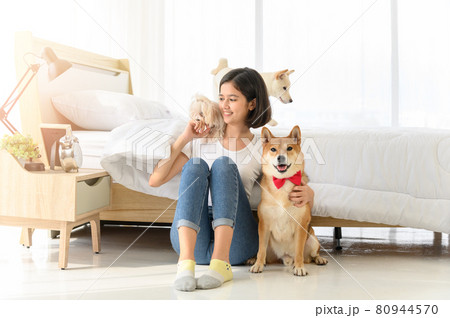 Young Asian woman relaxing and playing with three dogs (brown shiba inu, white shiba puppy and white maltese)in bedroom at home, Cheerful and nice couple with people and pet. Pet Lover concept Young Asian woman relaxing and playing with three dogs (brown shiba inu, white shiba puppy and white maltese)in bedroom at home, Cheerful and nice couple with people and pet. Pet Lover concept 80944570