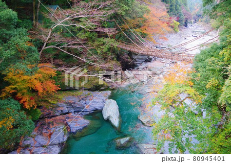 徳島県三好市　祖谷のかずら橋 80945401