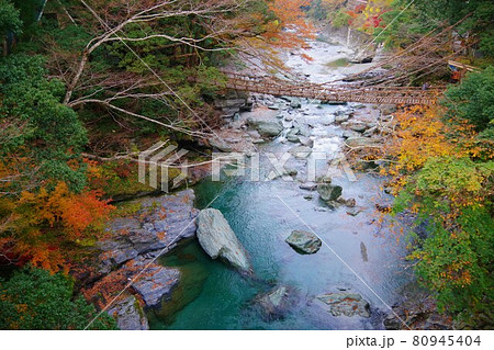 徳島県三好市 祖谷のかずら橋 徳島県三好市 祖谷のかずら橋 80945404