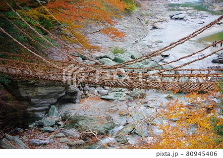 徳島県三好市　祖谷のかずら橋 80945406